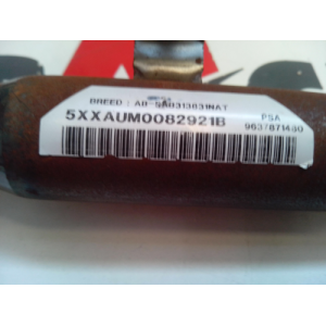 9637871480 AIRBAG CURTAIN RIGHT PEUGEOT 307 S2 2005 - 2008,S1 2001 - 2005