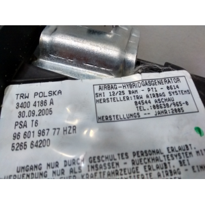 9660196777HZR AIRBAG ASIENTO IZQUIERDO PEUGEOT 307 S1 2001 - 2005