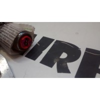 8E9880741 AIRBAG CORTINA IZQUIERDO AUDI A4 (8E) B6 2001-2002-2003-2004