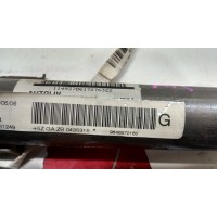 9646572180 AIRBAG CORTINA IZQUIERDO CITROEN C4 1ª GENER. 2004-2005-2006-2007-2008-2009-2010 (L desde 04)
