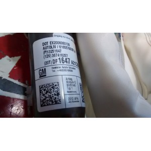 13251647 AIRBAG CORTINA IZQUIERDO OPEL ASTRA J   2010-2011-2012-2013-2014-2015-2016