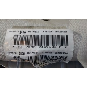9801665880 AIRBAG CORTINA IZQUIERDO PEUGEOT 5008 2009 - 2016