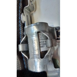 1491811 AIRBAG CORTINA DERECHO FORD FOCUS 2ª GENER. 2008-2009-2010-2011 (RESTY)