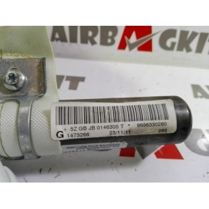 8338GQ AIRBAG CORTINA IZQUIERDO PEUGEOT 508 1ª GEN. 2011 - 2014