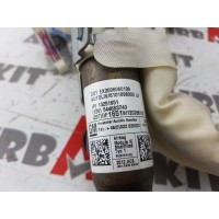 13251651 AIRBAG CORTINA IZQUIERDO CHEVROLET CRUZE (J) 2009-2010-2011-2012, 2012-2013-2014-2015-2016-2017-2018-2019-2020 PRESE...